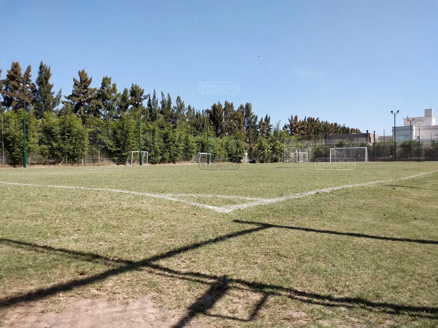 LOTE EN ALISOS 100 foto 4