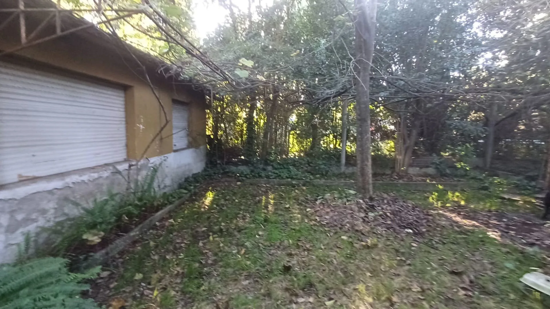 VENTA CASA-QUINTA AMPLIO TERRENO VIRREY DEL PINO foto 3