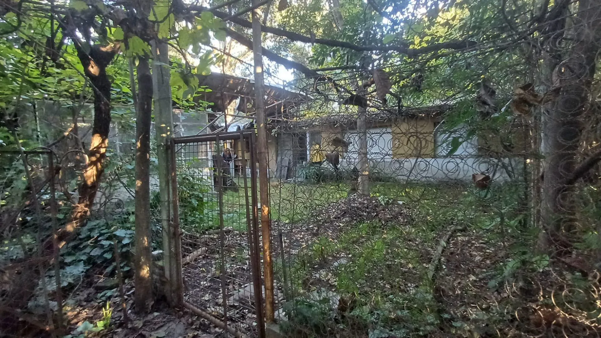 VENTA CASA-QUINTA AMPLIO TERRENO VIRREY DEL PINO foto 4