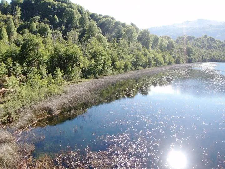 Lago Hermoso Lote foto 4