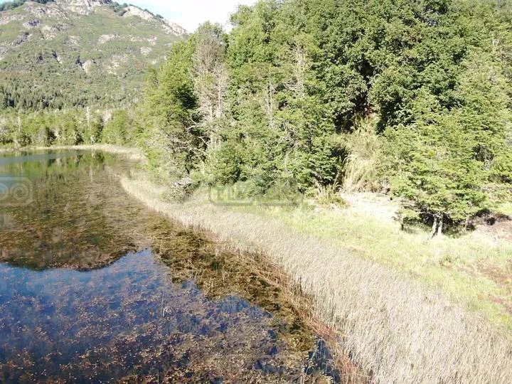 Lago Hermoso Lote foto 5