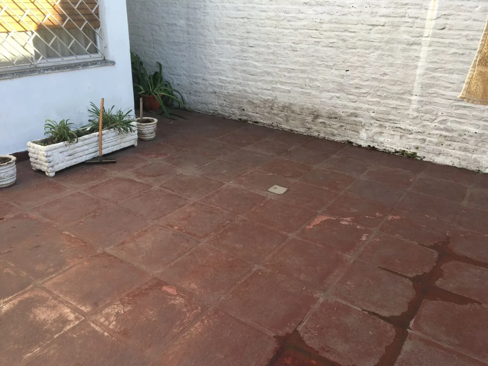 Casa en lote propio de 8.66 x43, con cuatro departamentos totalmente independientes. foto 3