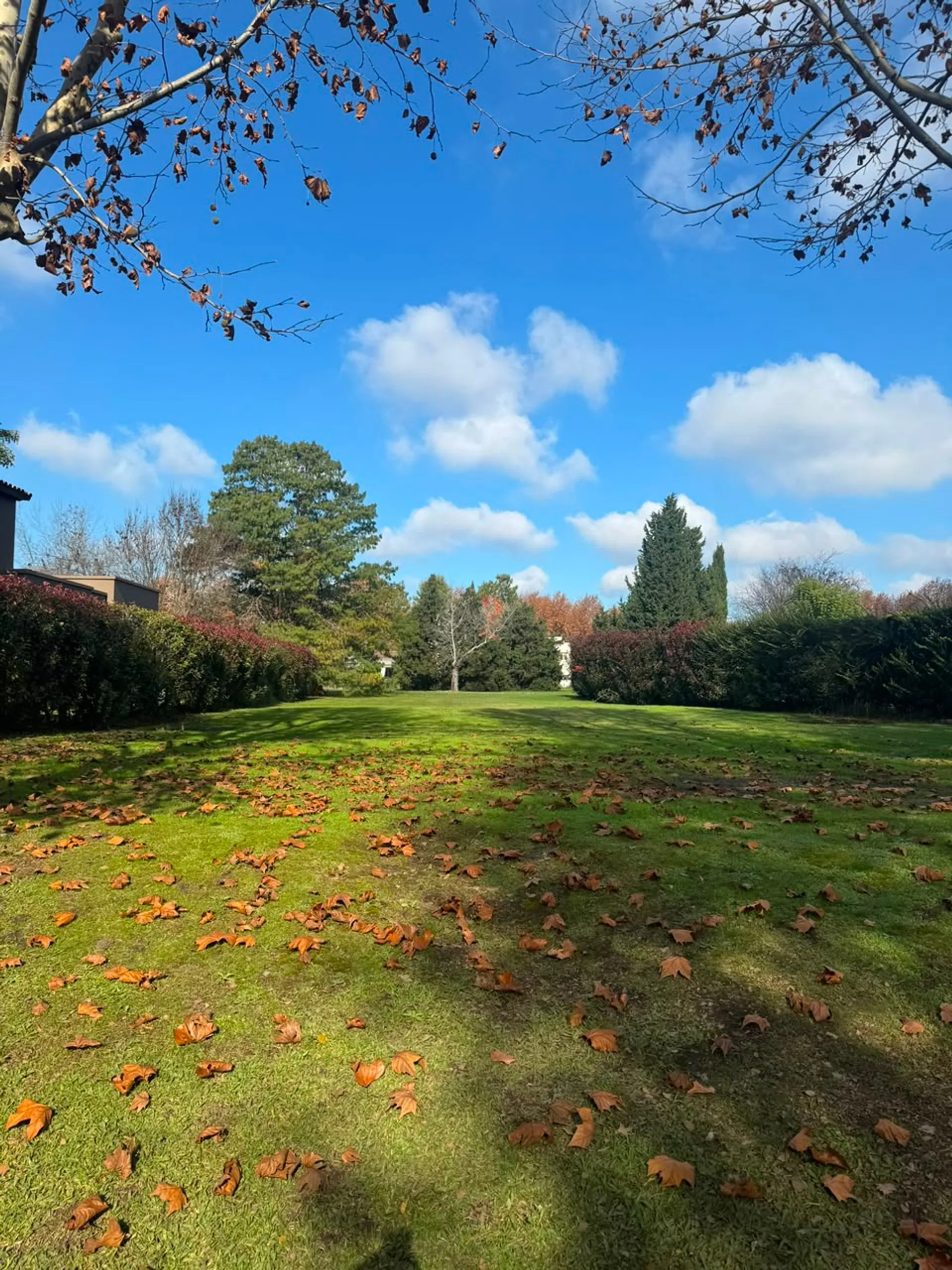 Ayres del Pilar -Excelente Lote en venta foto 4
