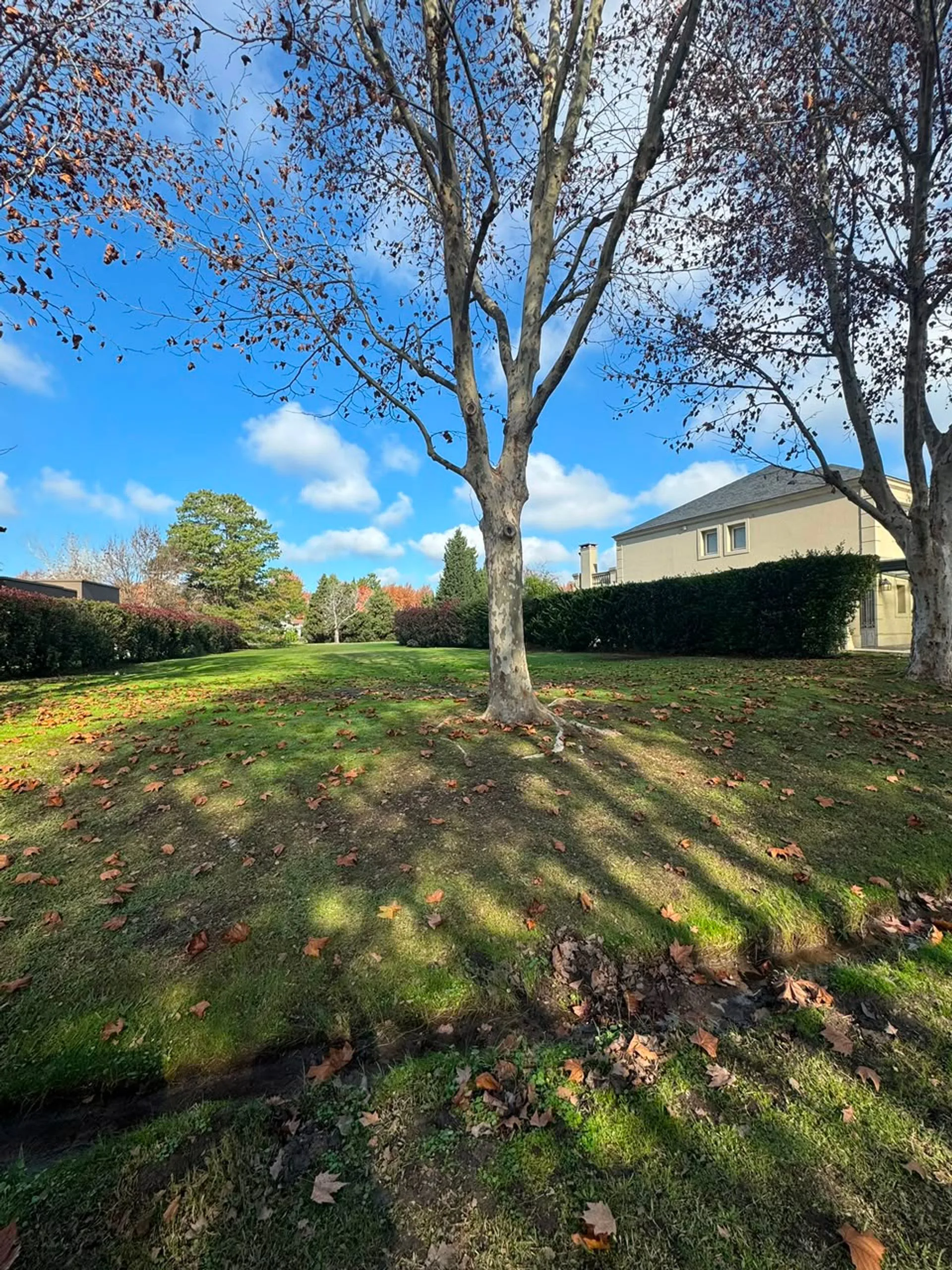 Ayres del Pilar -Excelente Lote en venta foto 5