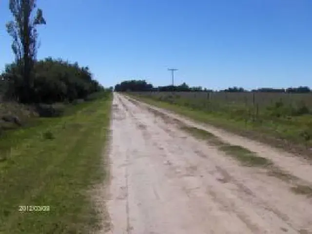 Campo en venta.