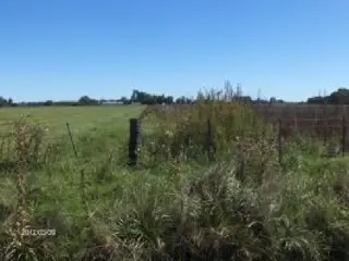Campo en venta. foto 4