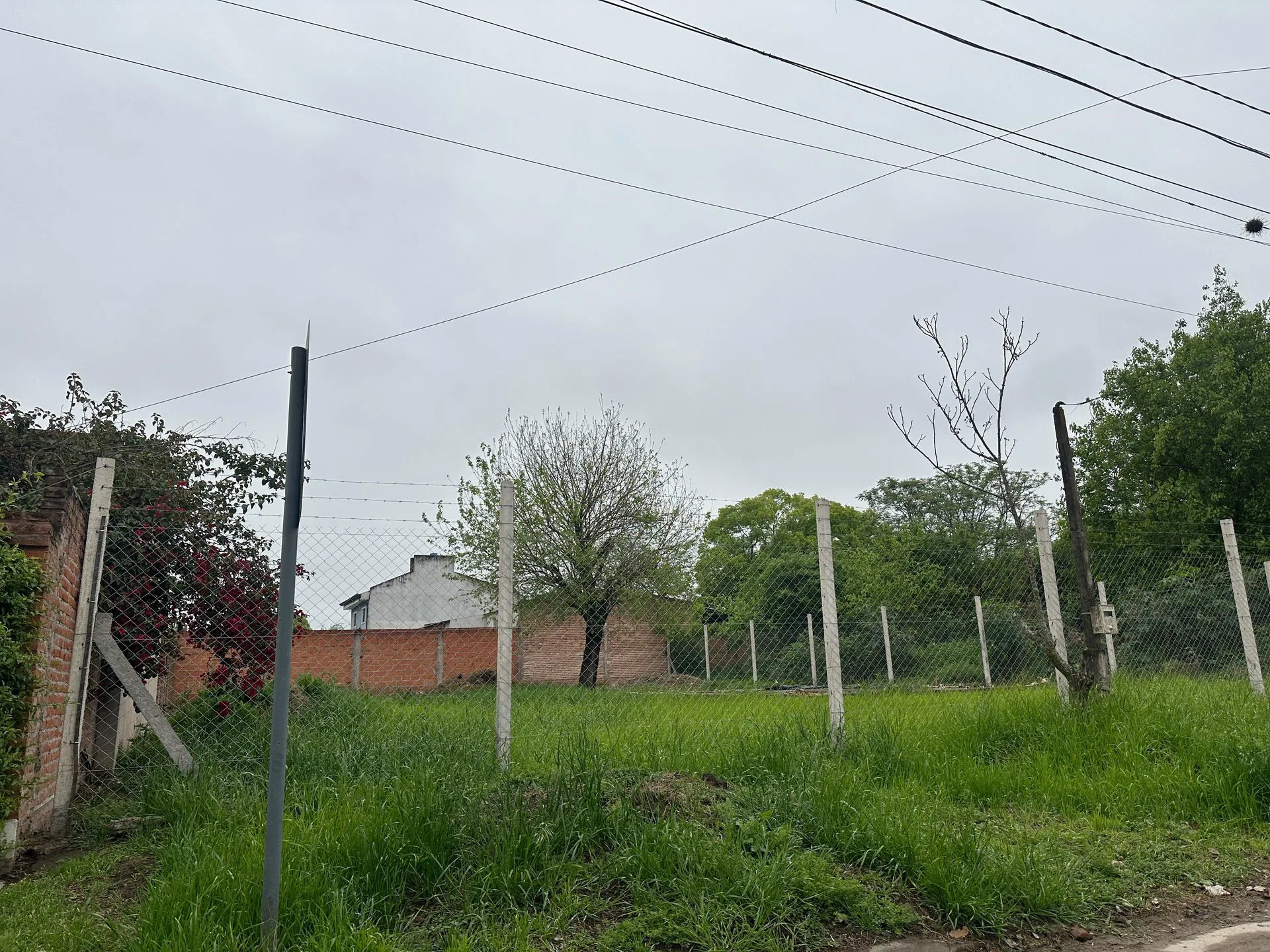 VENTA TERRENO ZONA CAMINO DE SIRGA- YB- 600M2 foto 3