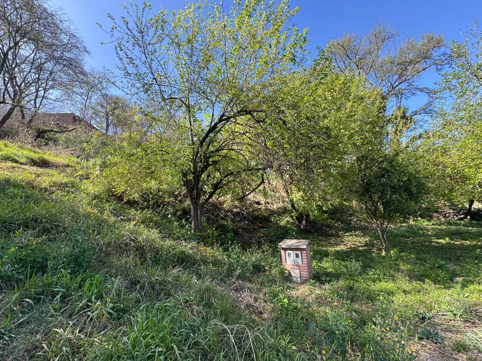 VENTA TERRENO 600m2 - BARRIO LAS MORAS foto 2
