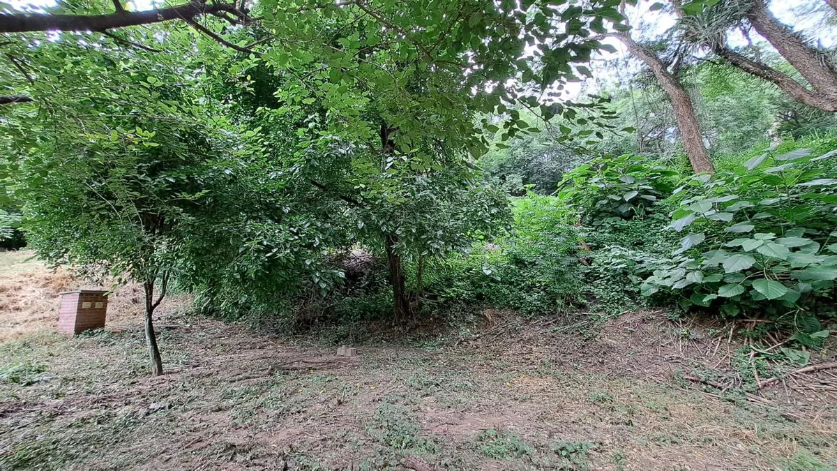 VENTA TERRENO 600m2 - BARRIO LAS MORAS foto 3