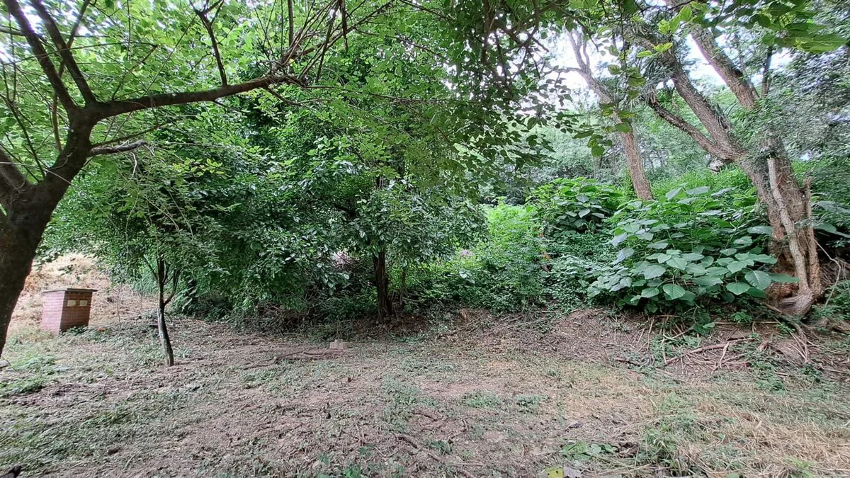 VENTA TERRENO 600m2 - BARRIO LAS MORAS foto 4