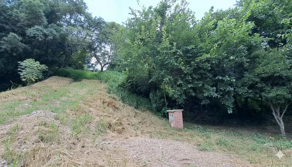 VENTA TERRENO 600m2 - BARRIO LAS MORAS foto 5