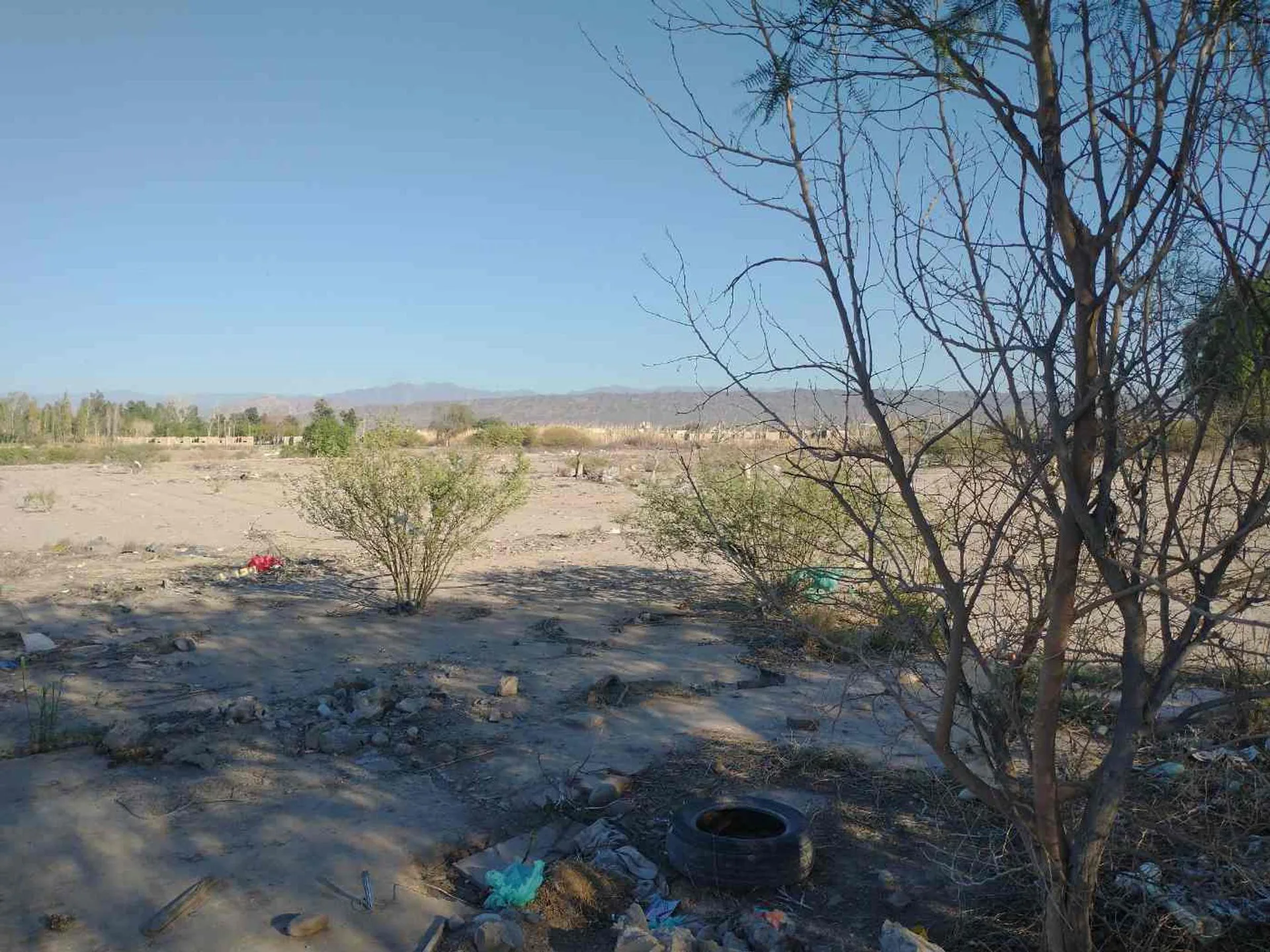 Terreno de 12.500 m2 en Chimbas foto 4