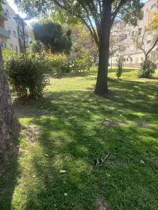 Departamento 3 Amb. (Bº Gral. S.Matin) foto 4