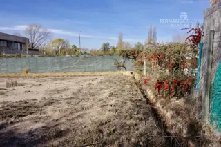 VENTA Lote Barrio Cerrado Pueyrredon Chacras de Coria Lujan de Cuyo foto 4