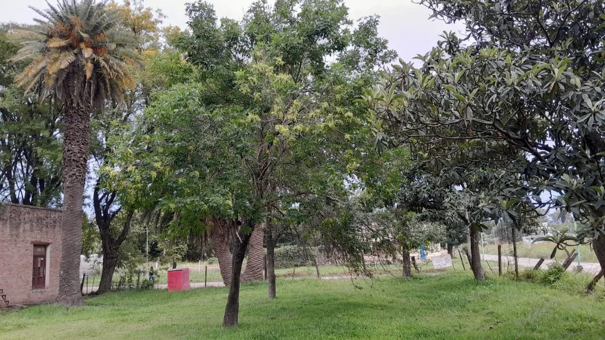 casa con gran terreno en Santo Tomé foto 3