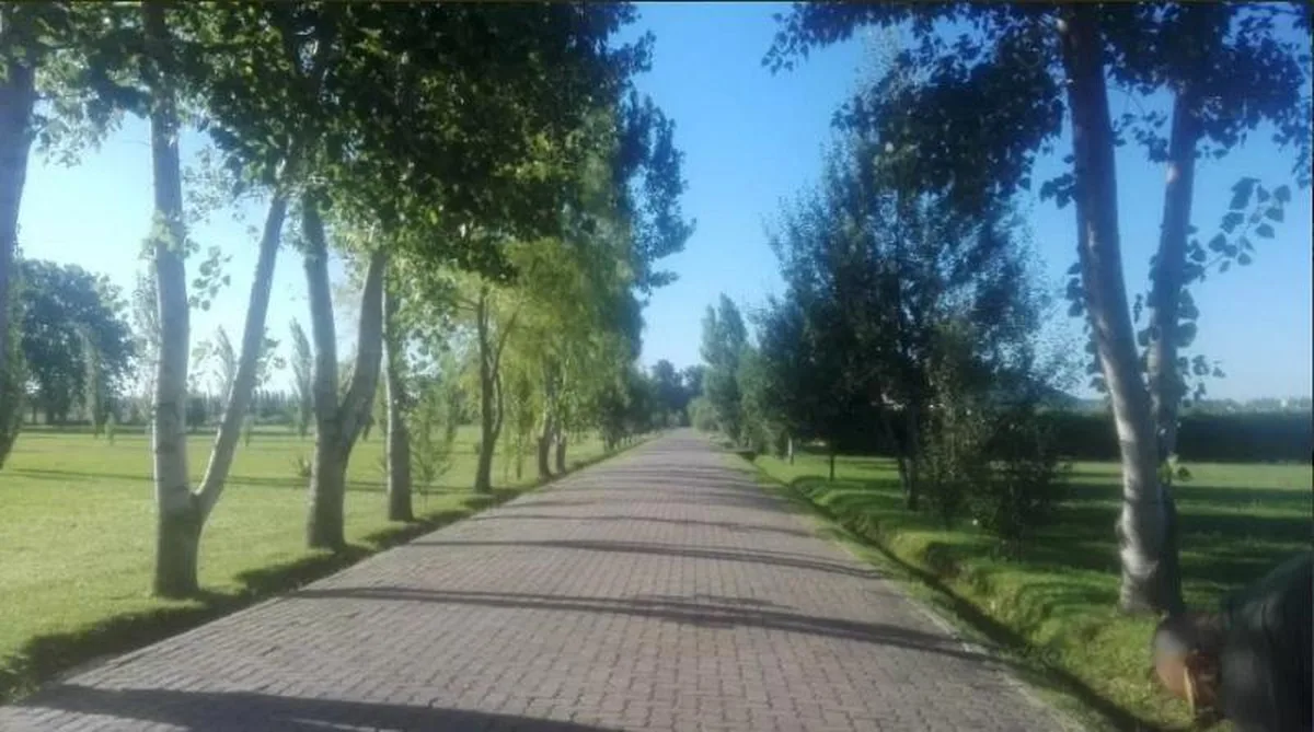 Lomas de Petión foto 4