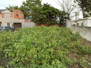 LOTE DE TERRENO- ZONA NORTE foto 4