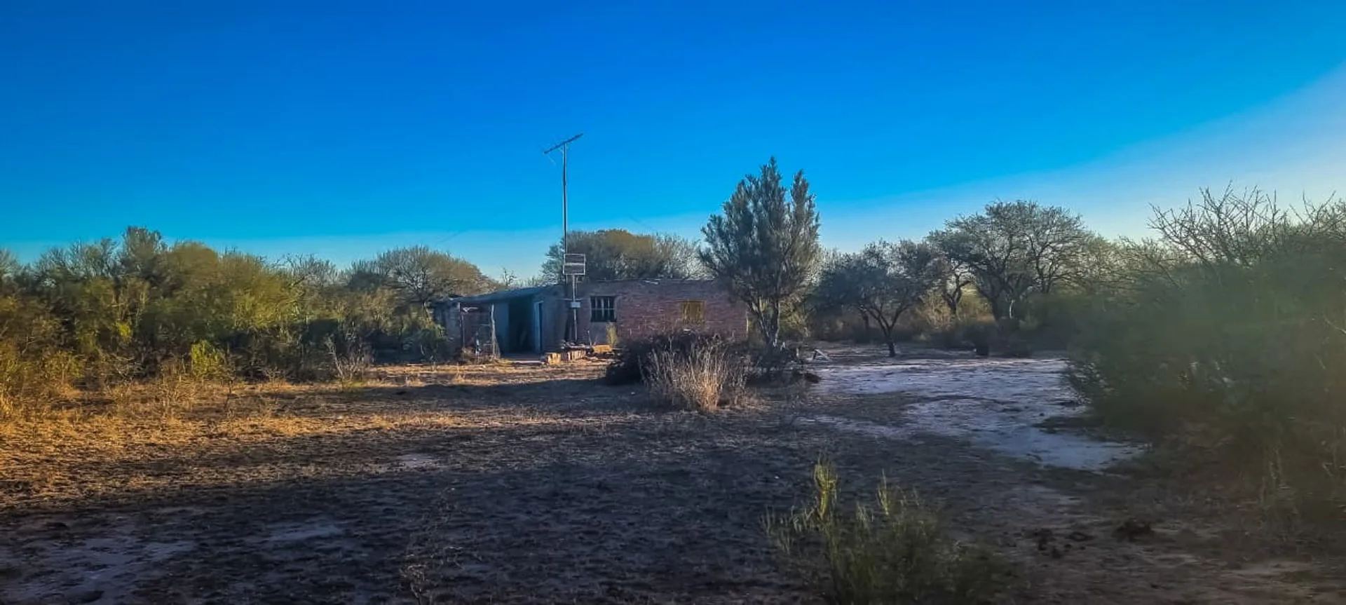 VENTA DE CAMPO EN ARBOL SOLO - SAN LUIS foto 5