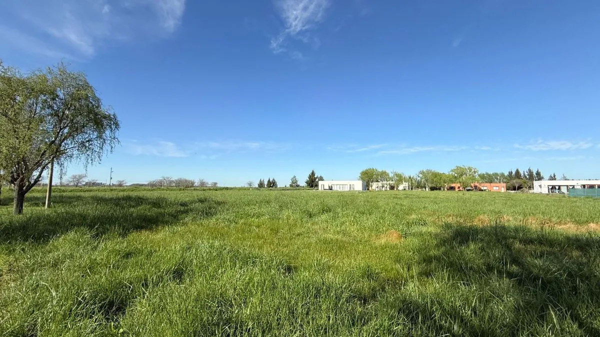 LOTE EN VENTA EN CAMPOS DE ROCA II BRADNSEN foto 2