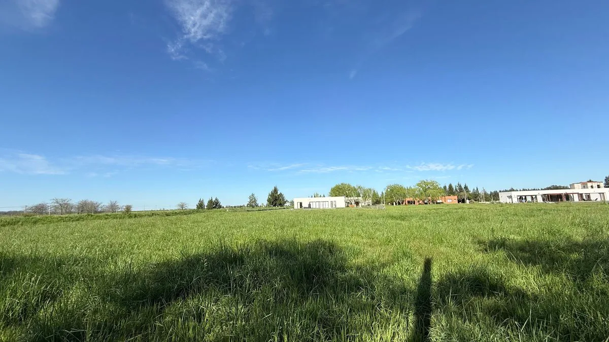 LOTE EN VENTA EN CAMPOS DE ROCA II BRADNSEN foto 3
