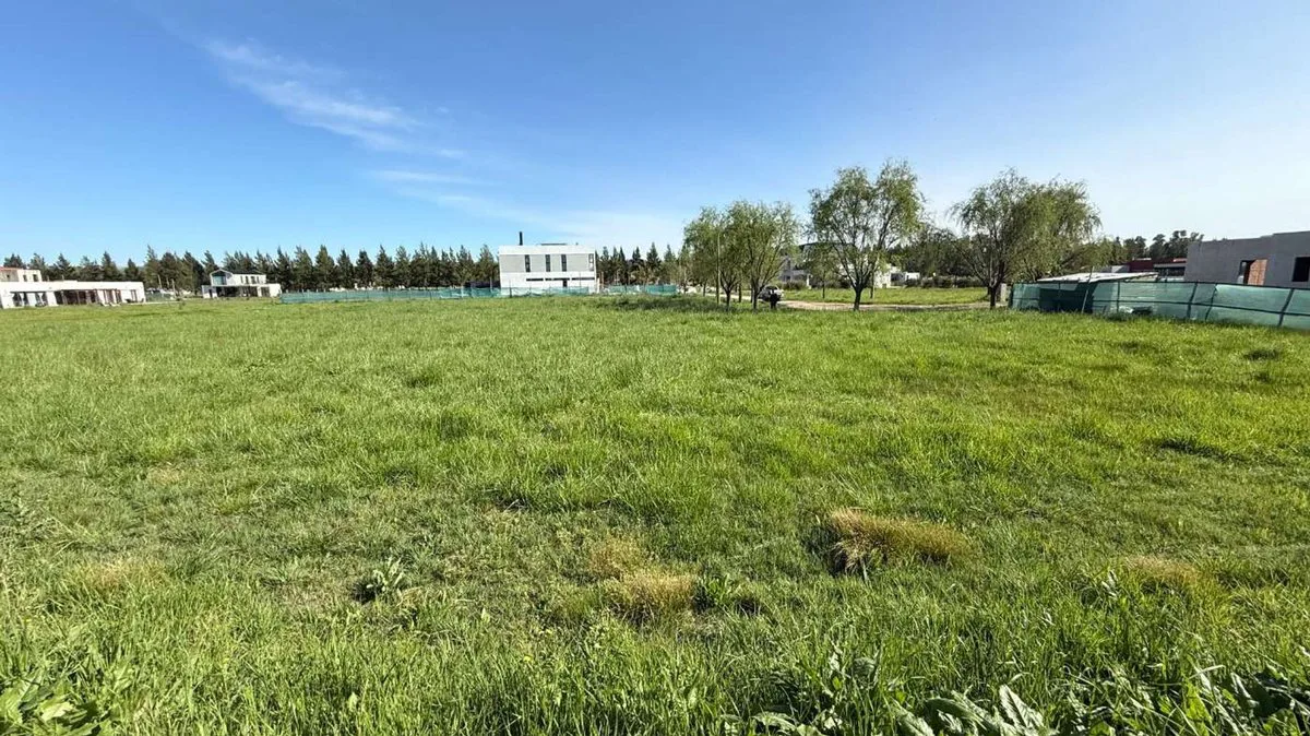 LOTE EN VENTA EN CAMPOS DE ROCA II BRADNSEN foto 4
