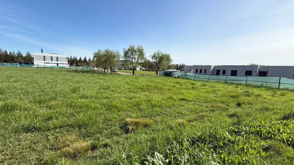LOTE EN VENTA EN CAMPOS DE ROCA II BRADNSEN foto 5