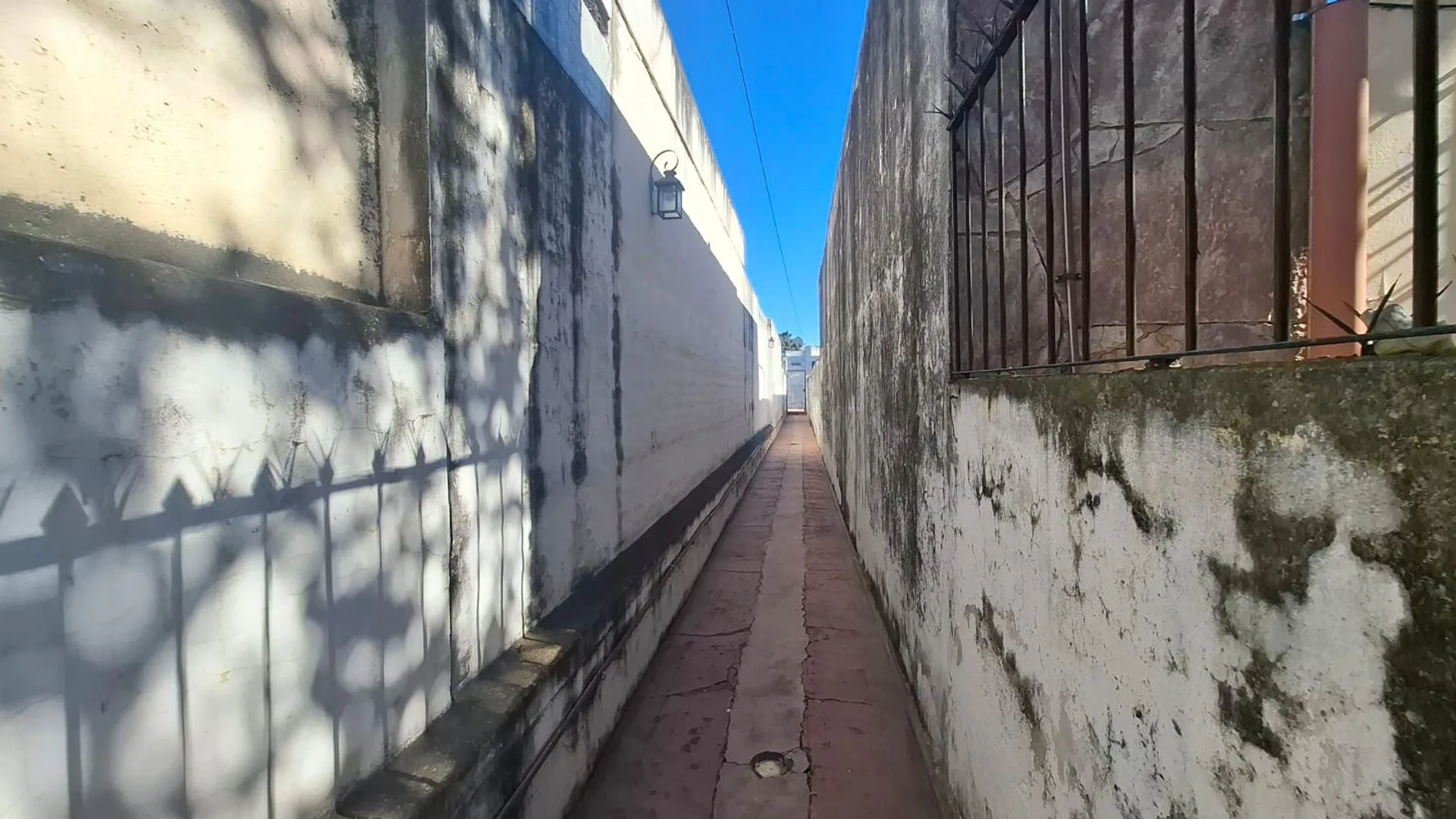 Venta De ph 3 dormitorios Gran patio Alta Cordoba foto 3