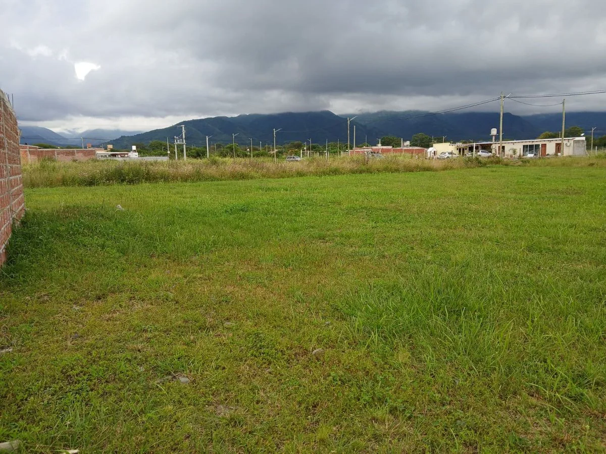 VENTA TERRENO LOTEO LA CARMINA CAMPO QUIJANO 390M2 foto 3