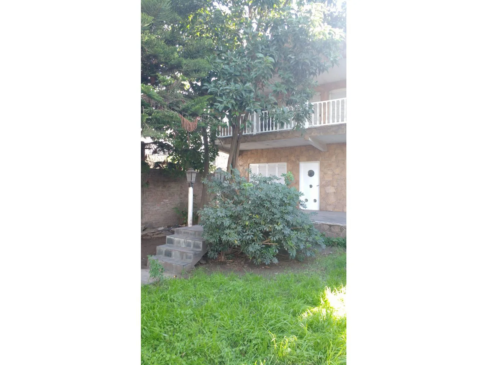 Venta Casa lote propio en Virrey del Pino foto 5