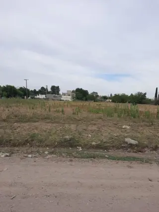 Lote VENTA 201 e/ 47 y 49 L.Olmos foto 1