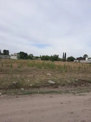 Lote VENTA 201 e/ 47 y 49 L.Olmos foto 3