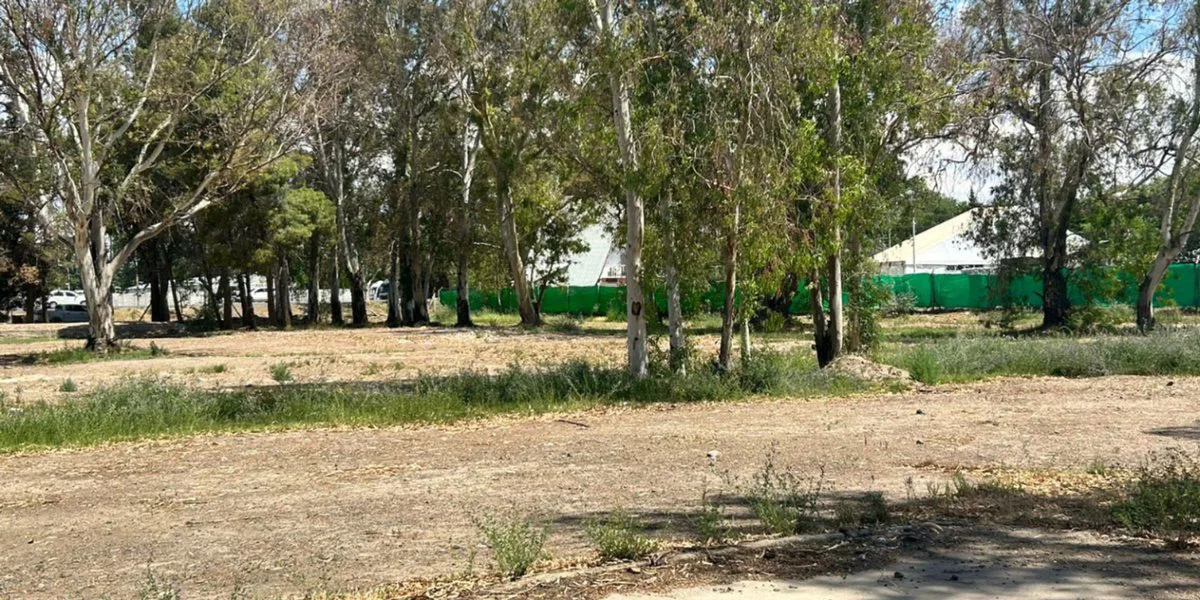 VENTA MACRO LOTE RUTA 22 - NEUQUEN CAPITAL foto 5