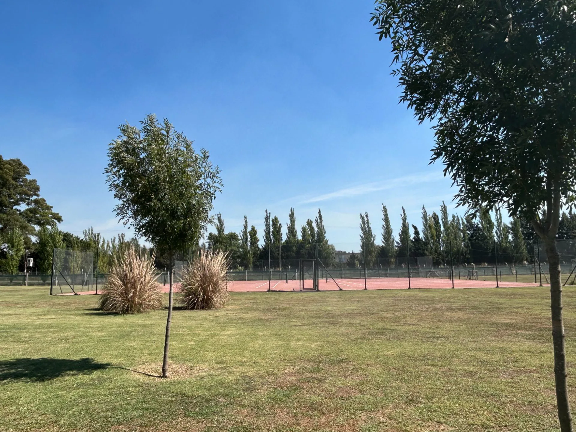 LOTE EN VENTA SAN VICENTE FINCAS JOVEN OPORTUNIDAD foto 2