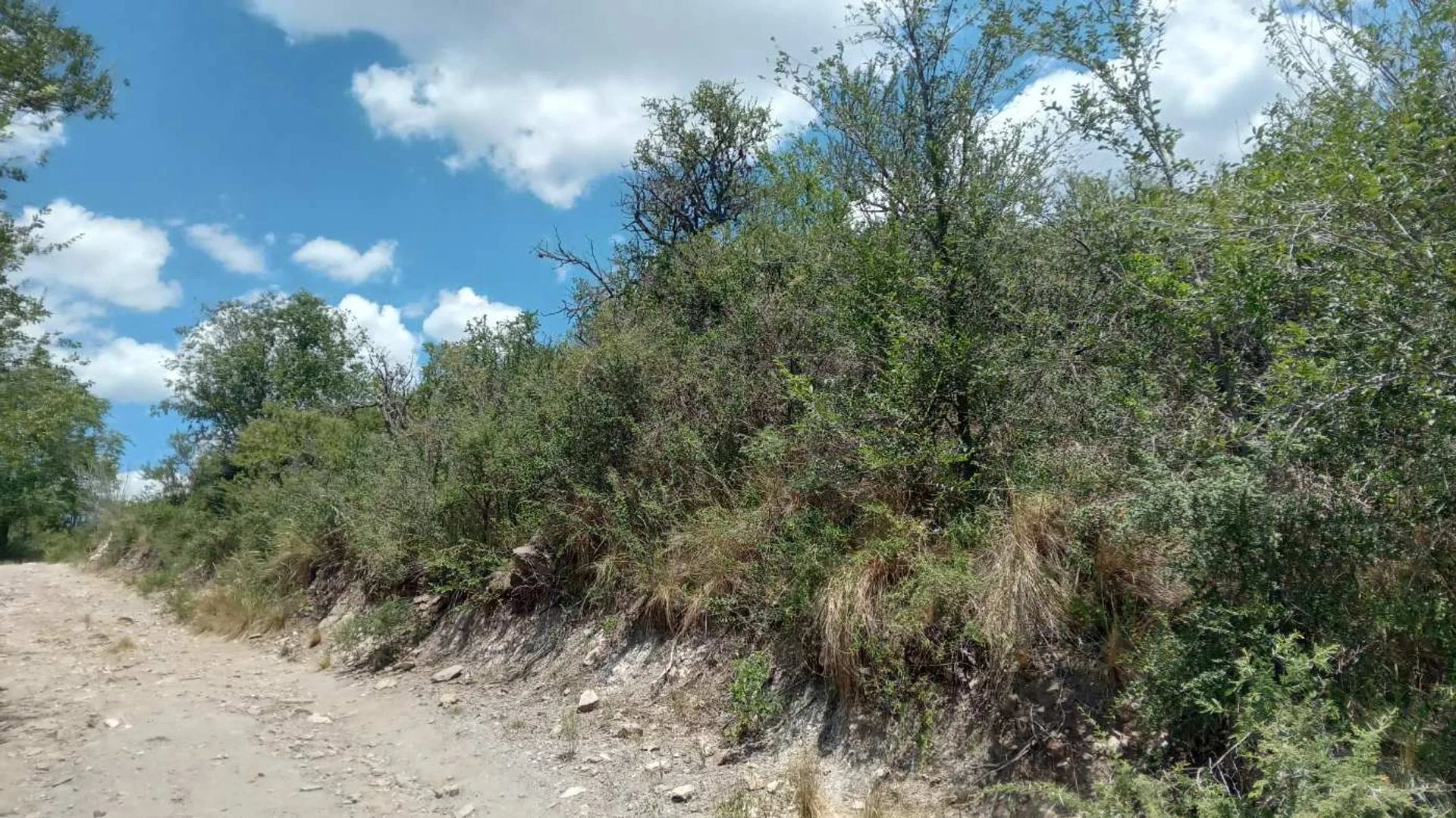 Venta Lote 22.563 m2 San Esteban - Vista Sierras foto 3