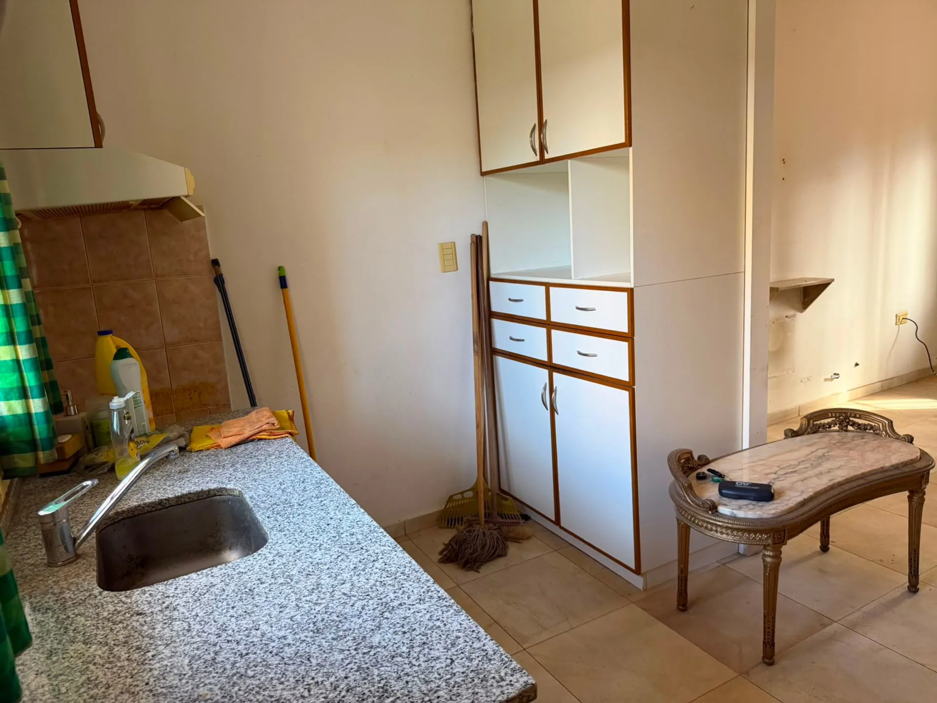 VENTA DEPARTAMENTO PB DEL BONO GREEN foto 3