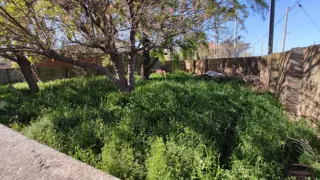 VENDO CASA CON TERRENO Y GALPON EN QUEQUEN foto 4