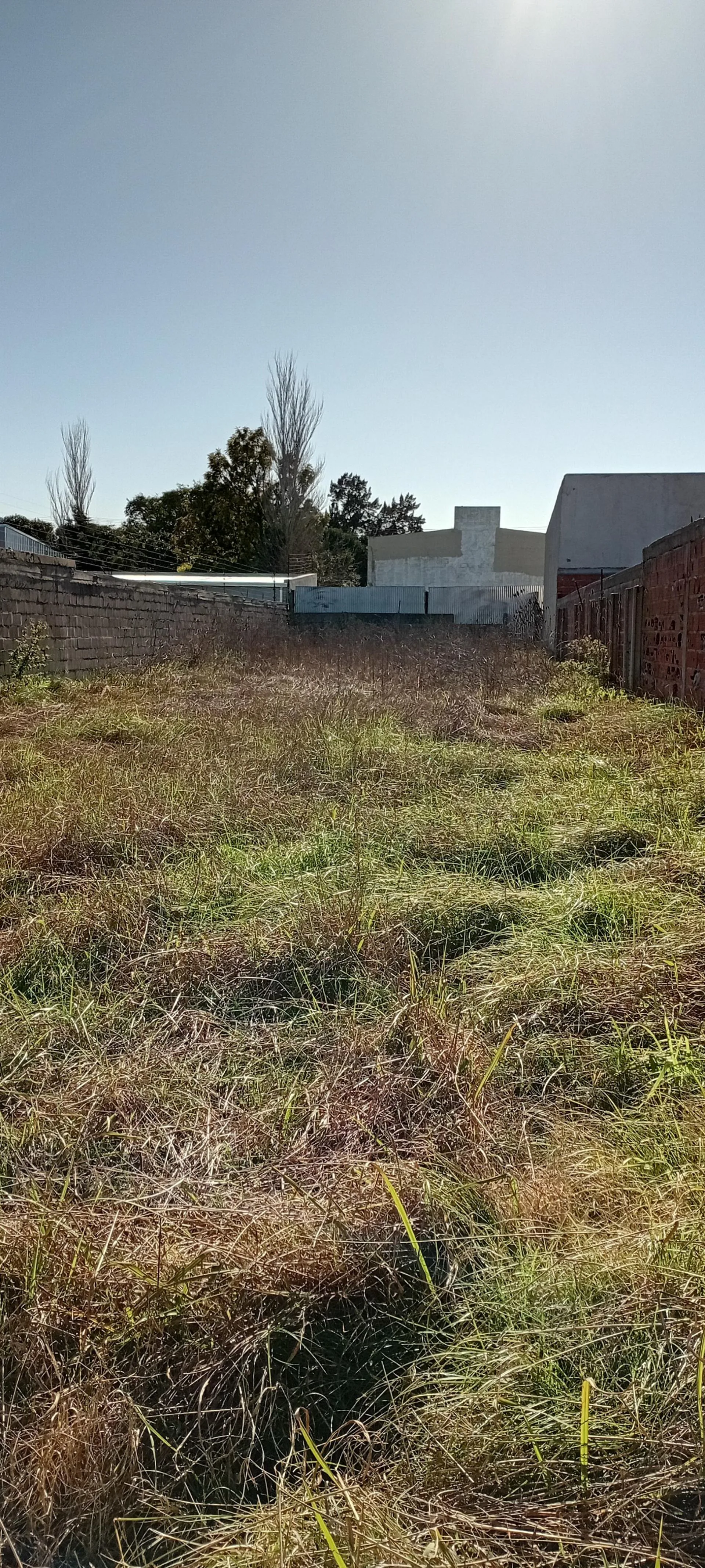 LOTE EN VENTA BARRIO SAN CARLOS foto 3