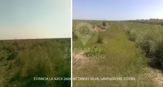 Estancia la Suiza - 2604 Hras. Santiago del Estero - GALPON Y TINGLADOS PARA HERRAMIENTAS. INSTALACIONES GANADERAS COMPLETAS (MANGA, CORRALES, CARGADO foto 4