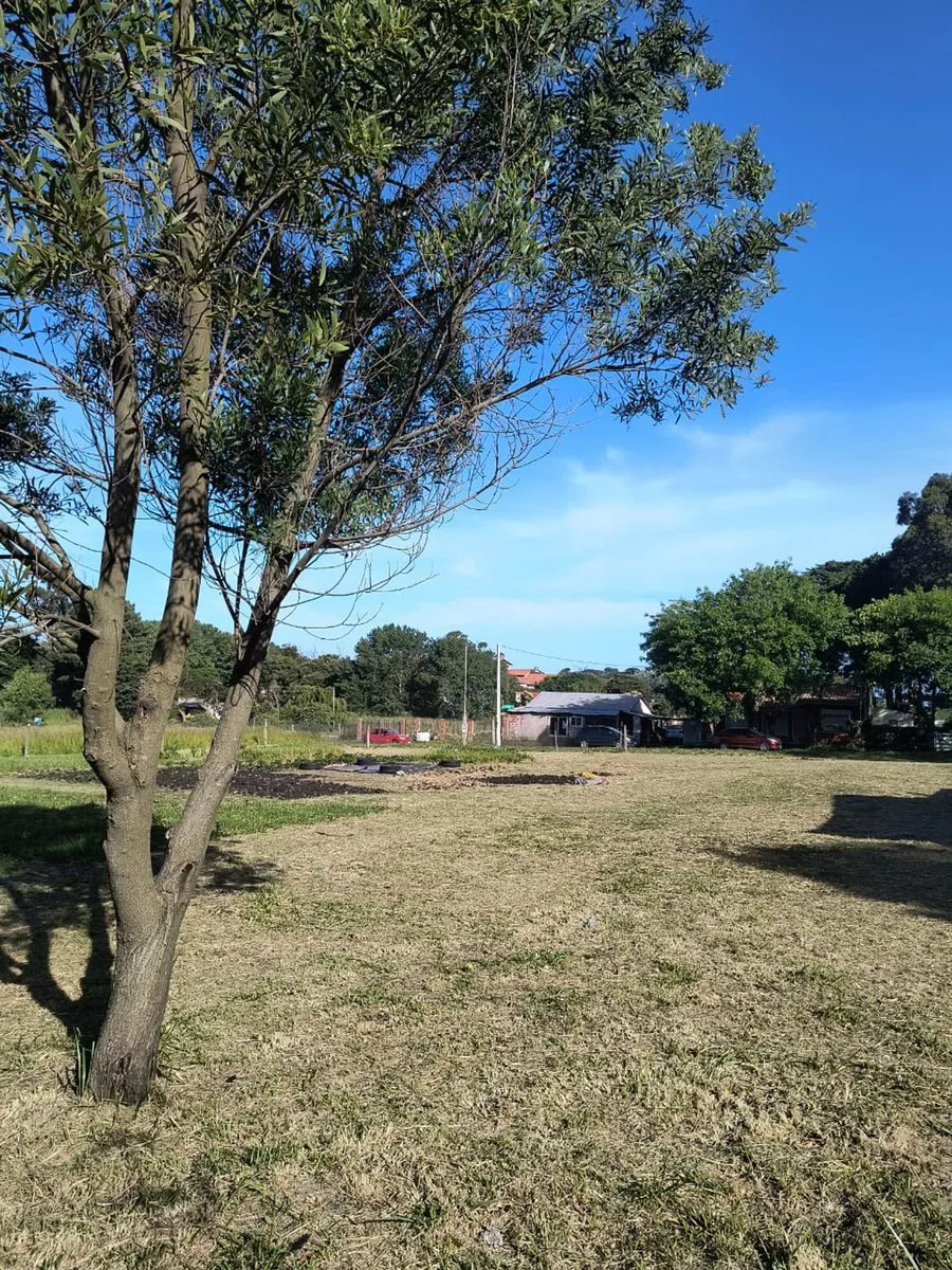VENTA DOS LOTES EN SANTA ISABEL foto 2