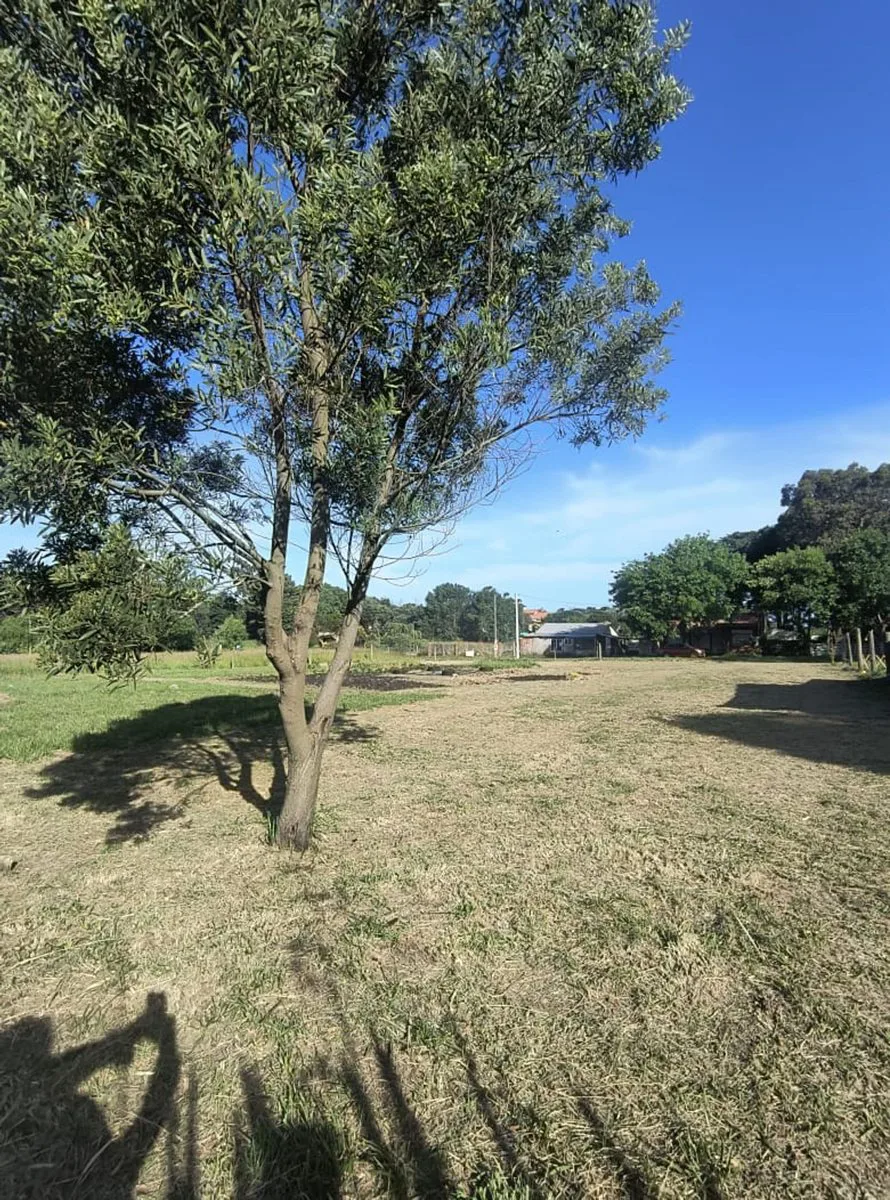 VENTA DOS LOTES EN SANTA ISABEL foto 3
