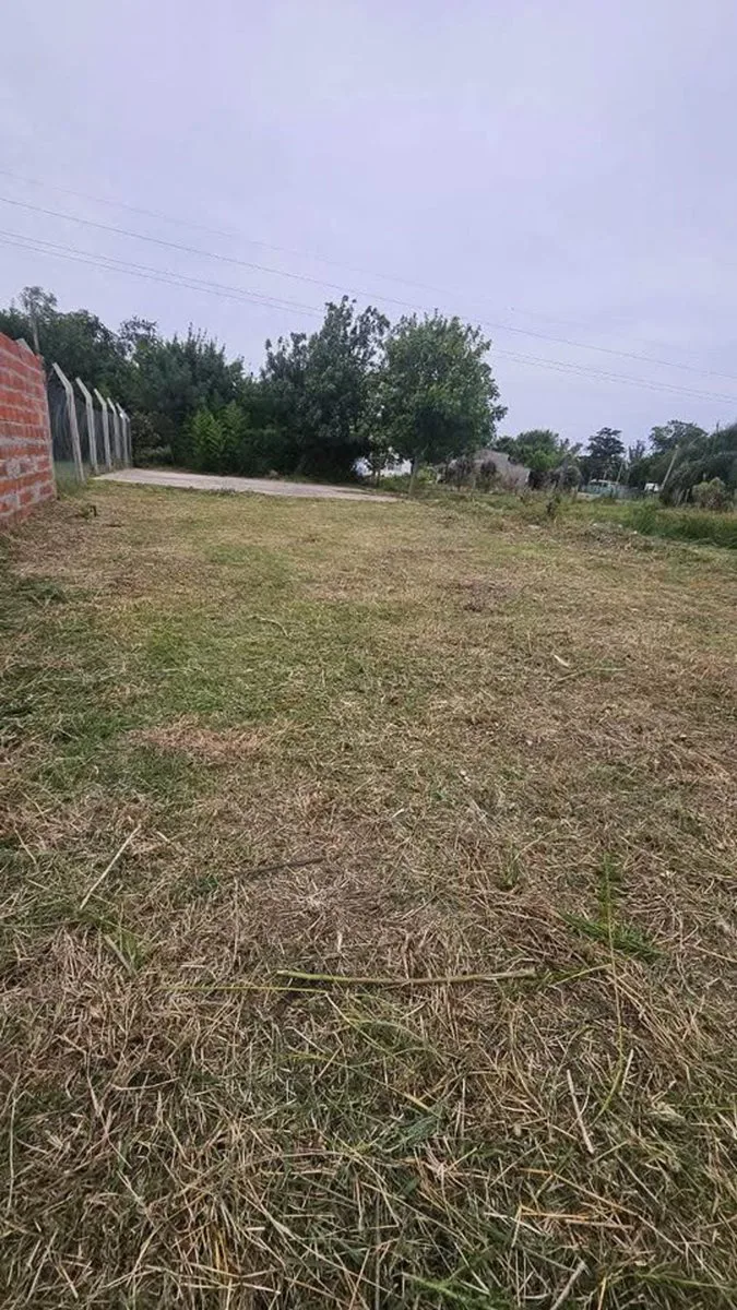 VENTA LOTE DE TERRENO ANDINO ESCRITURADO 300m2 foto 4