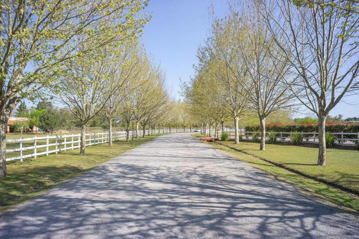 VENTA LOTE BARRIO HARAS DEL SOL PILAR foto 5