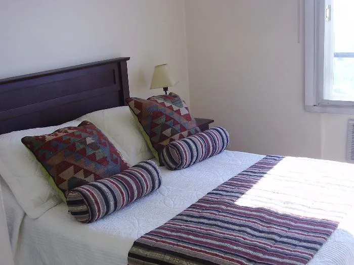 1-bedroom apartment in Recoleta – photo 3 of 5