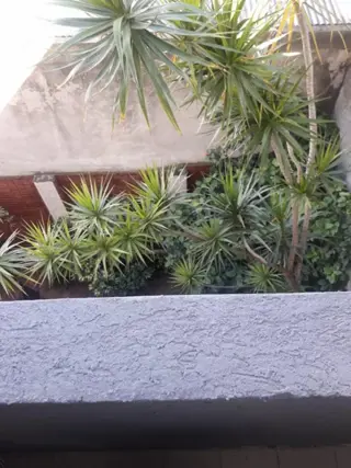 HERMOSO DEPTO DE 2 AMB AMPLIOS Y LUMINOSOS EXCELENTE UBICACION. foto 4