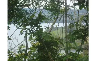 Imperdible chacra sobre el Río Uruguay foto 2