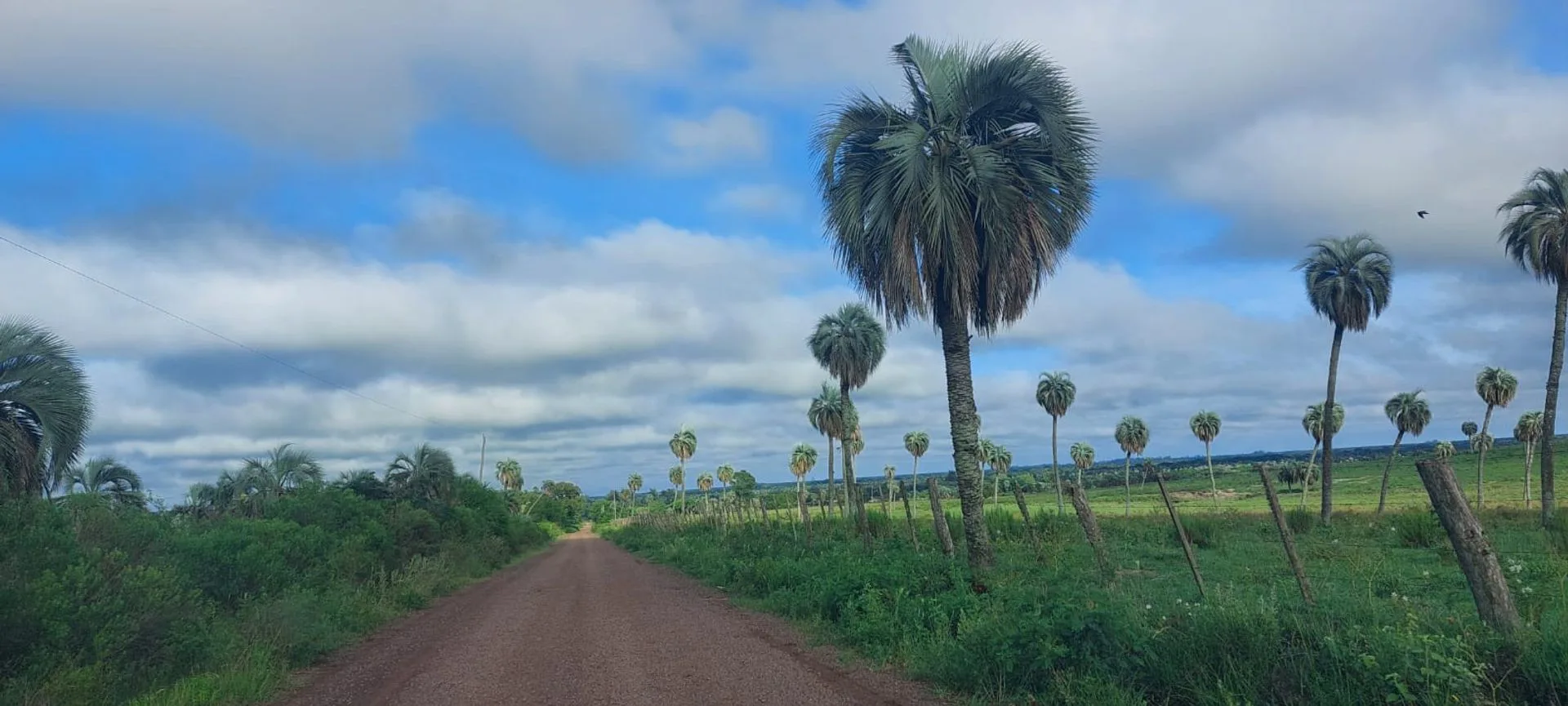 CAMPO EN VENTA, RESERVA ISORO CON SALIDA AL RIO foto 2
