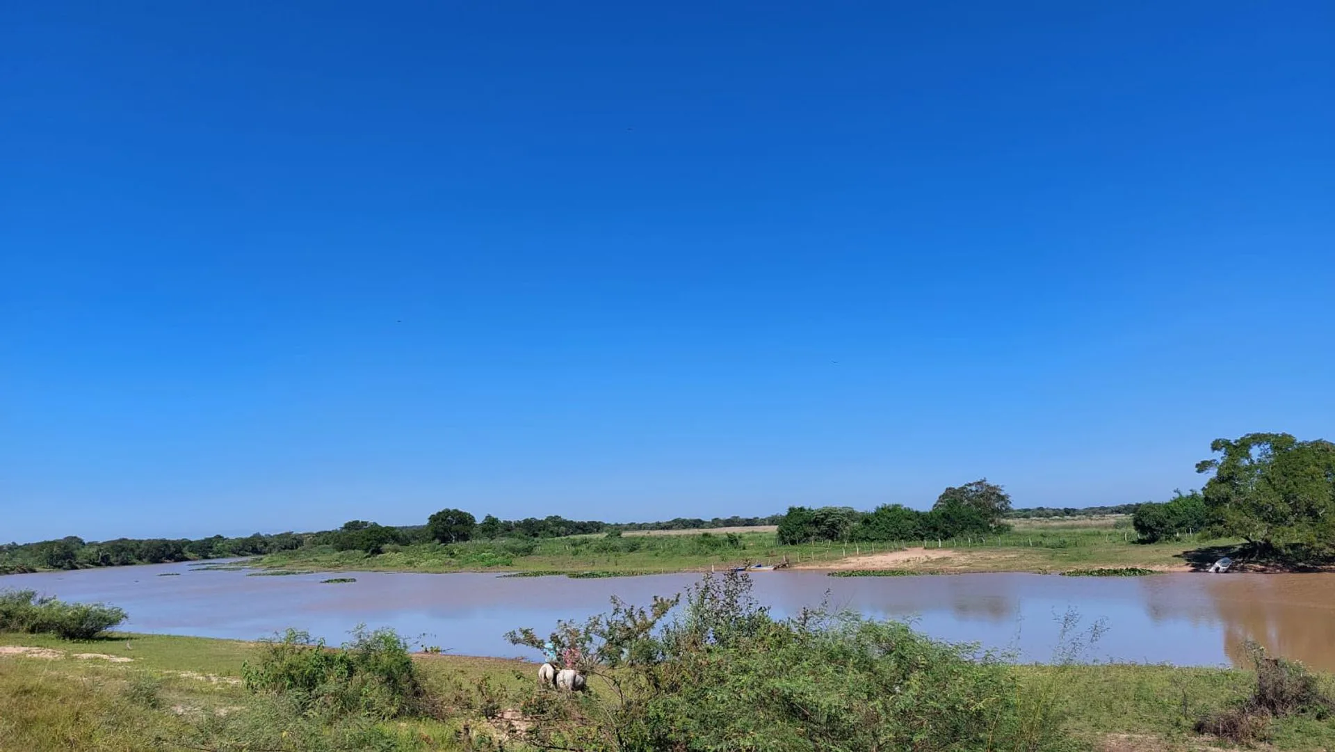 CAMPO EN VENTA, RESERVA ISORO CON SALIDA AL RIO foto 3