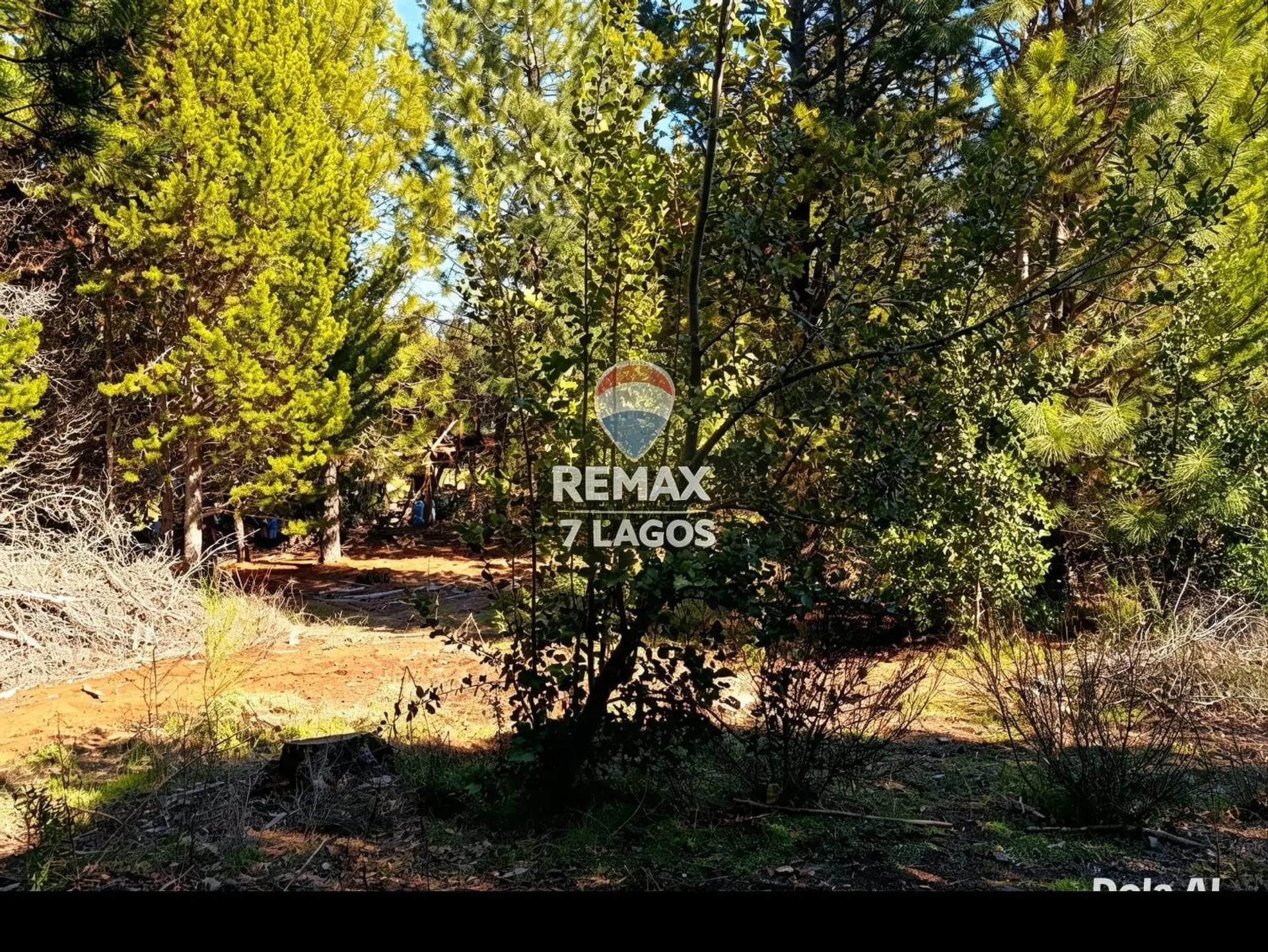 EQUIPO REMAX VENDE TERRENO EN RUCA-HUE, 2535M2. foto 2
