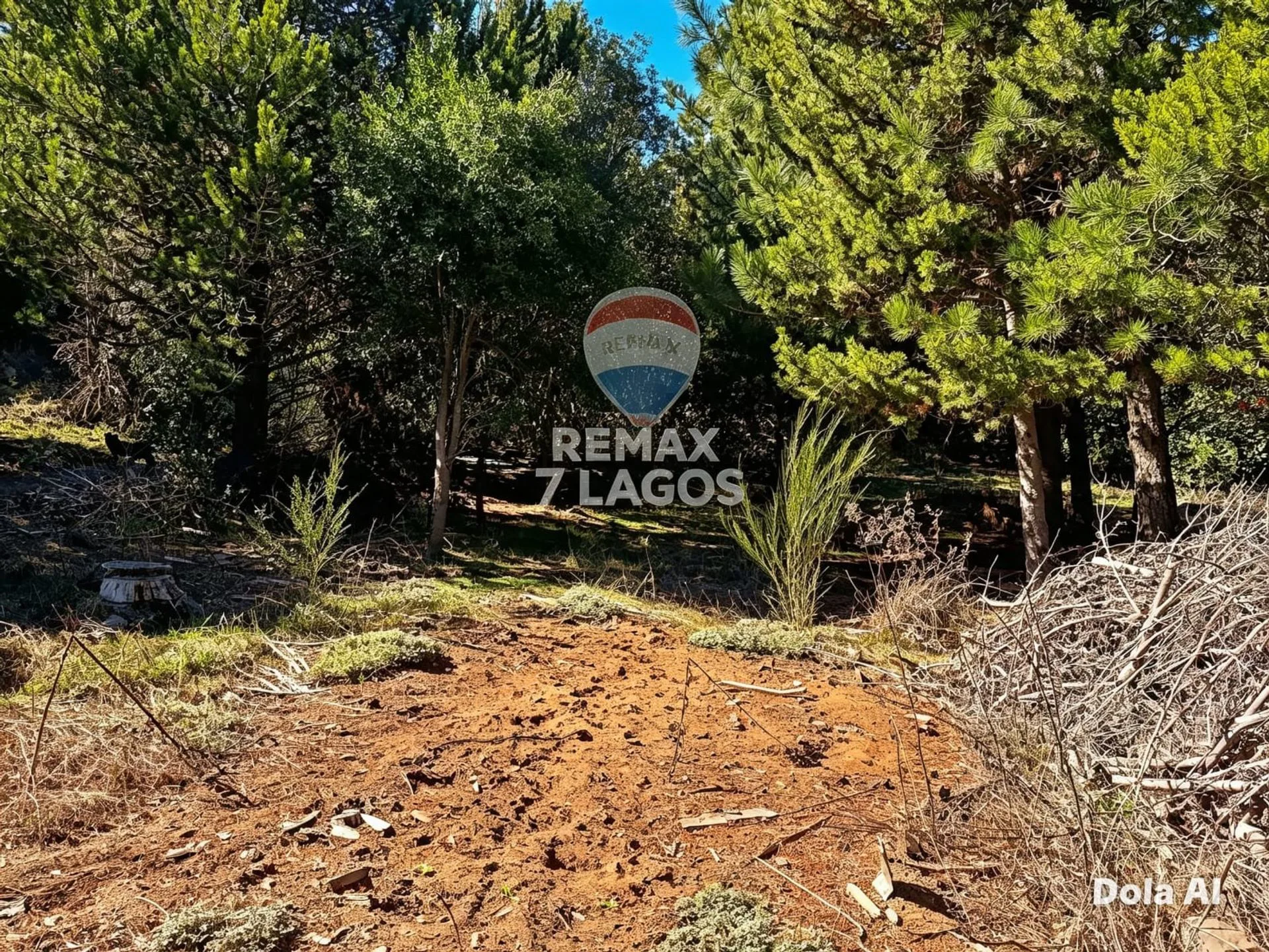 EQUIPO REMAX VENDE TERRENO EN RUCA-HUE, 2535M2. foto 3