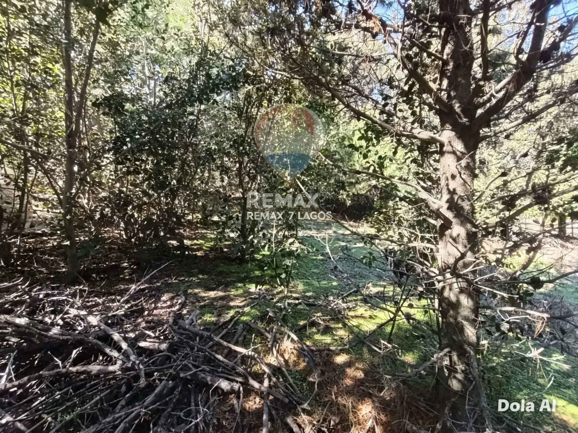 EQUIPO REMAX VENDE TERRENO EN RUCA-HUE, 2535M2. foto 5